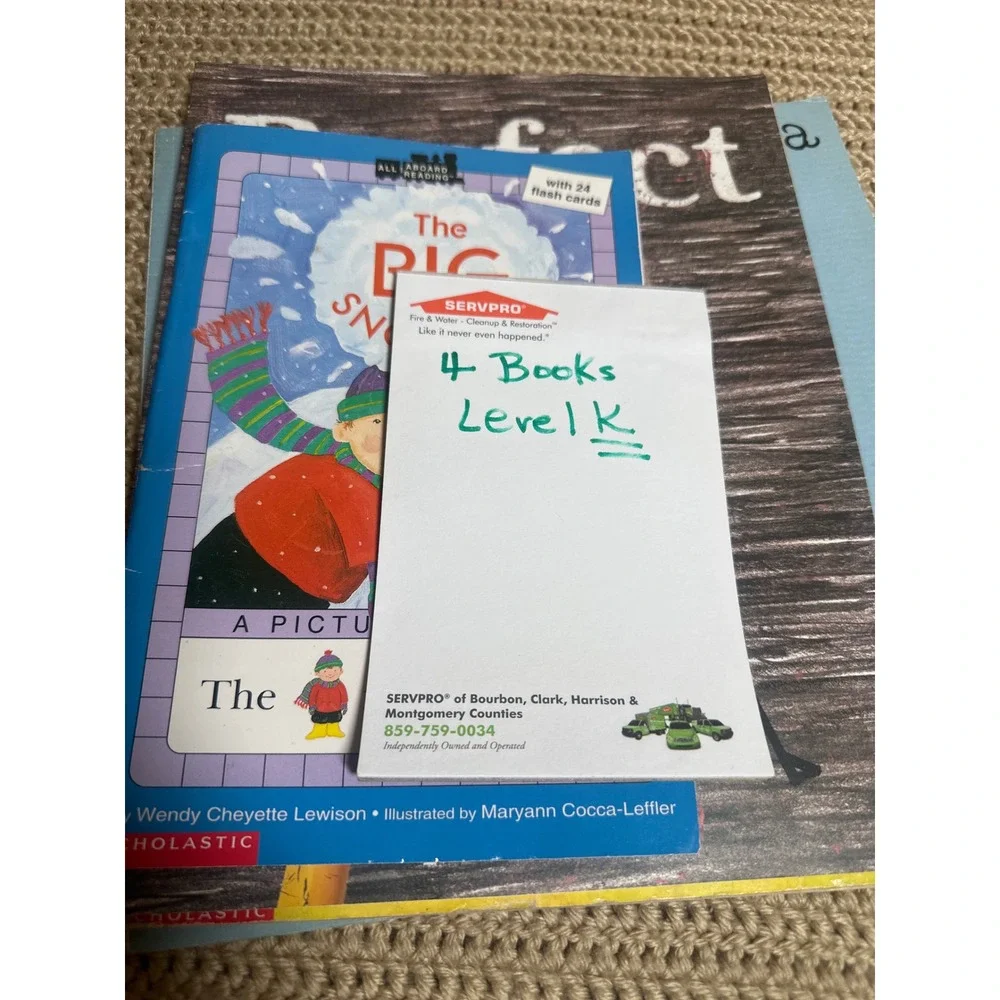 Kids Book Bundle of 4 Kindergarten Early Reader David Goes to School Mr Panda